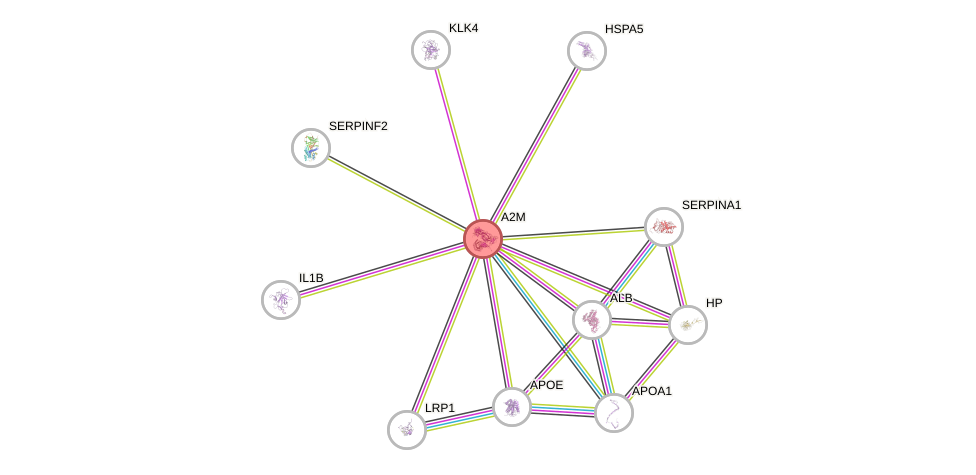 Protein-Protein network diagram for A2M