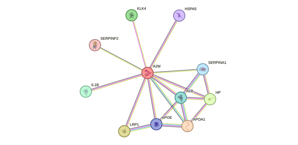 Protein-Protein network diagram for A2M
