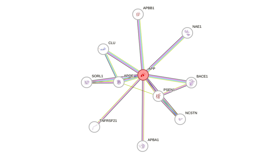 Protein-Protein network diagram for APP