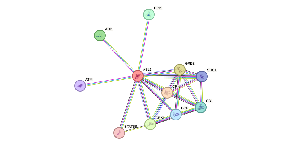 Protein-Protein network diagram for ABL1