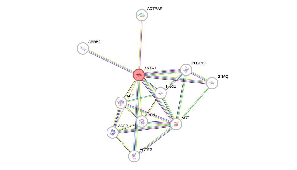 Protein-Protein network diagram for AGTR1