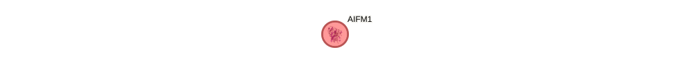 Protein-Protein network diagram for AIFM1