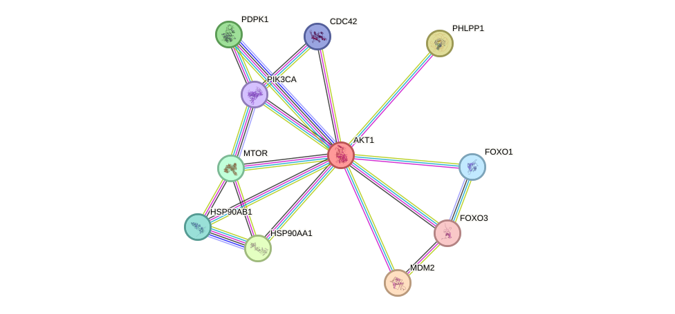 Protein-Protein network diagram for AKT1