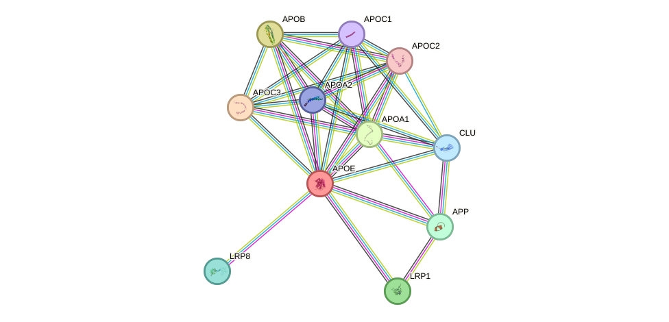 Protein-Protein network diagram for APOE