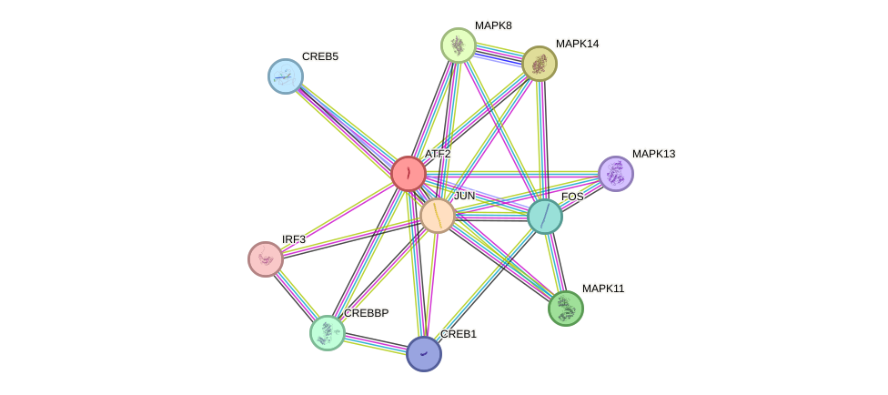 Protein-Protein network diagram for ATF2
