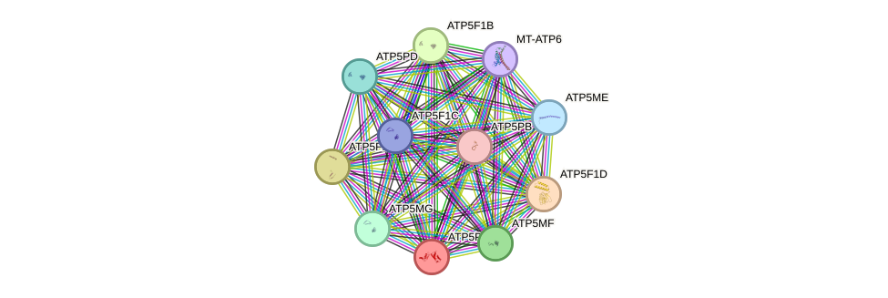 Protein-Protein network diagram for ATP5O