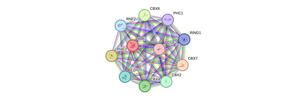 Protein-Protein network diagram for BMI1