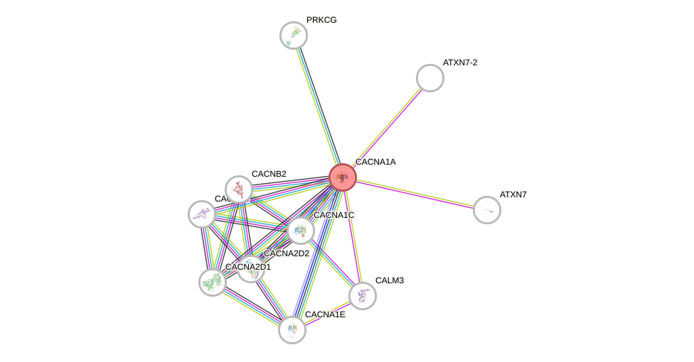 Protein-Protein network diagram for CACNA1A