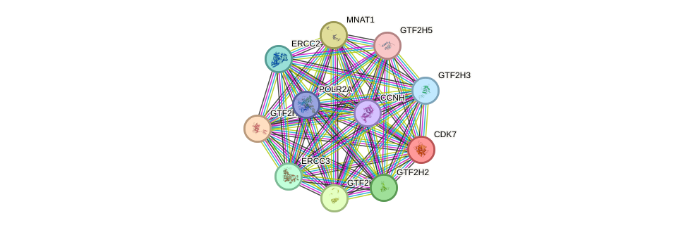 Protein-Protein network diagram for CDK7
