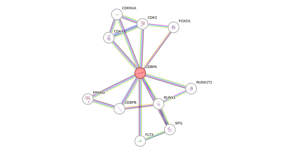 Protein-Protein network diagram for CEBPA