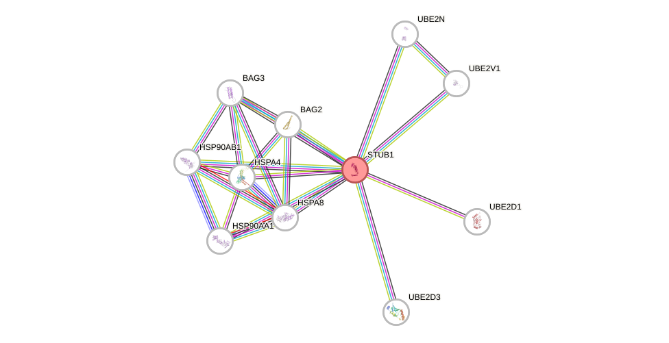 Protein-Protein network diagram for STUB1
