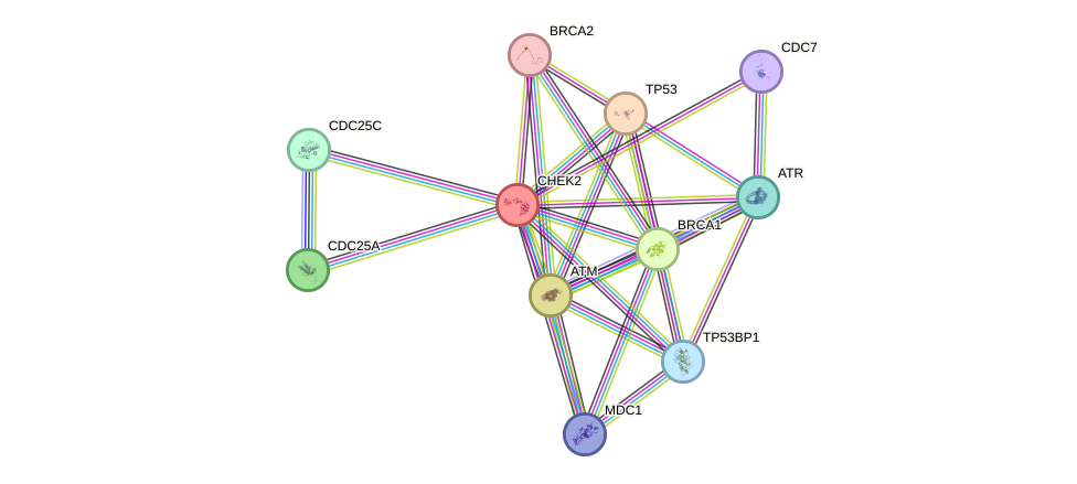 Protein-Protein network diagram for CHEK2