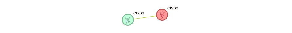 Protein-Protein network diagram for CISD2