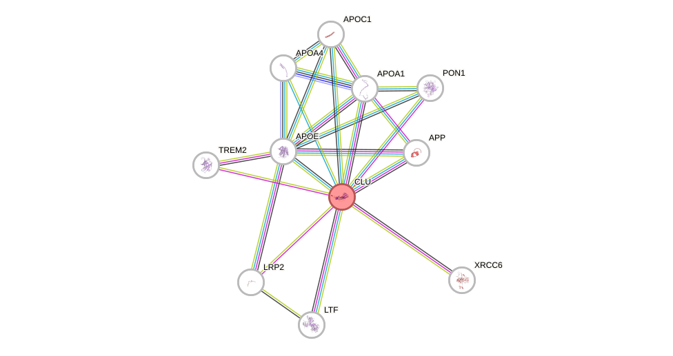 Protein-Protein network diagram for CLU