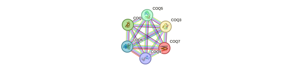 Protein-Protein network diagram for COQ7
