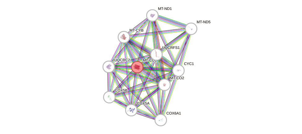 Protein-Protein network diagram for MT-CO1