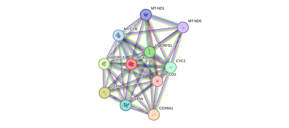 Protein-Protein network diagram for MT-CO1