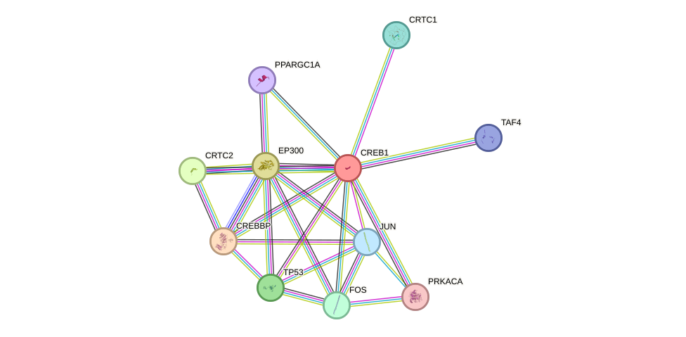 Protein-Protein network diagram for CREB1
