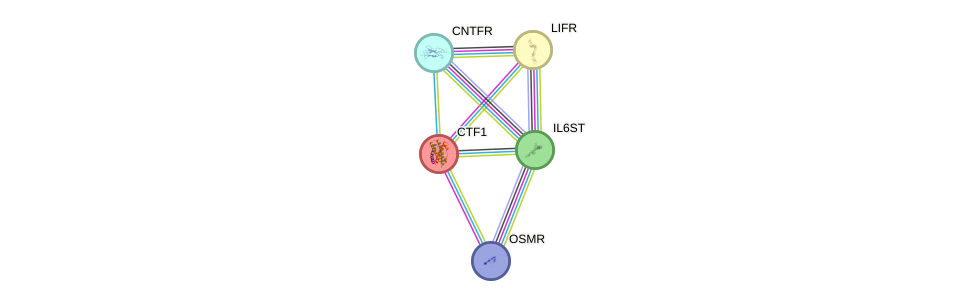 Protein-Protein network diagram for CTF1
