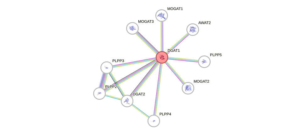 Protein-Protein network diagram for DGAT1