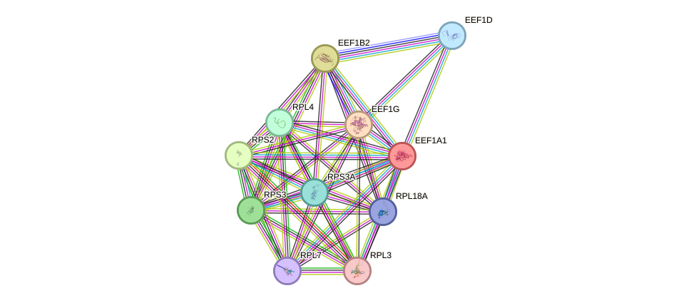 Protein-Protein network diagram for EEF1A1