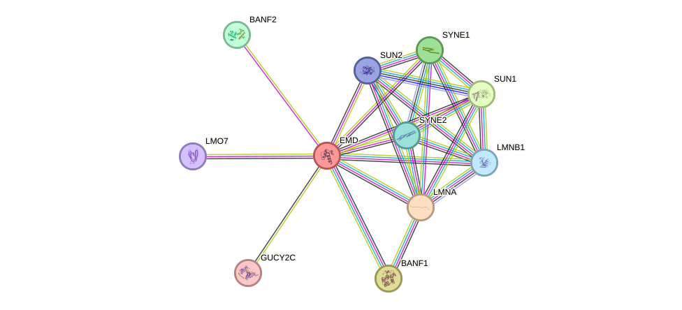 Protein-Protein network diagram for EMD