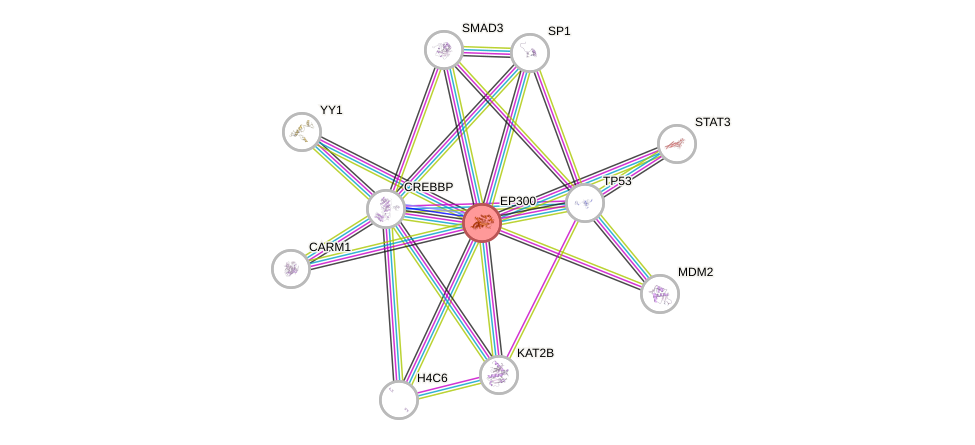 Protein-Protein network diagram for EP300