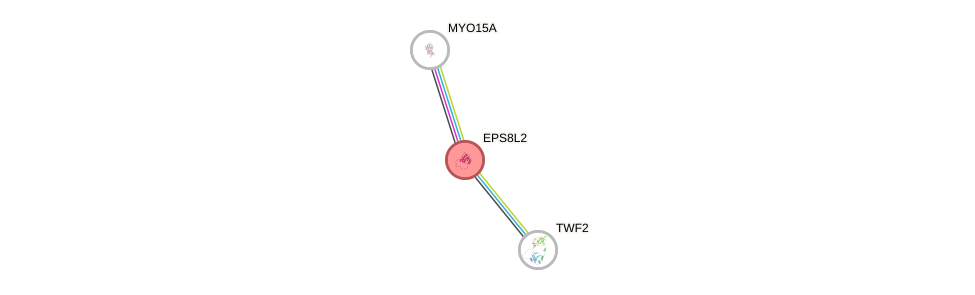Protein-Protein network diagram for EPS8