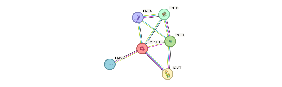 Protein-Protein network diagram for ZMPSTE24