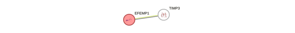 Protein-Protein network diagram for EFEMP1