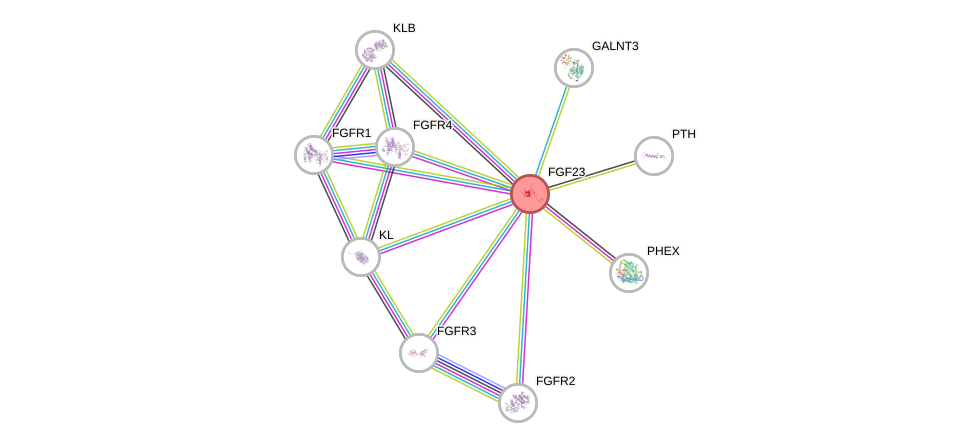 Protein-Protein network diagram for FGF23