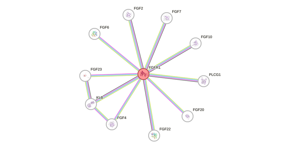 Protein-Protein network diagram for FGFR1