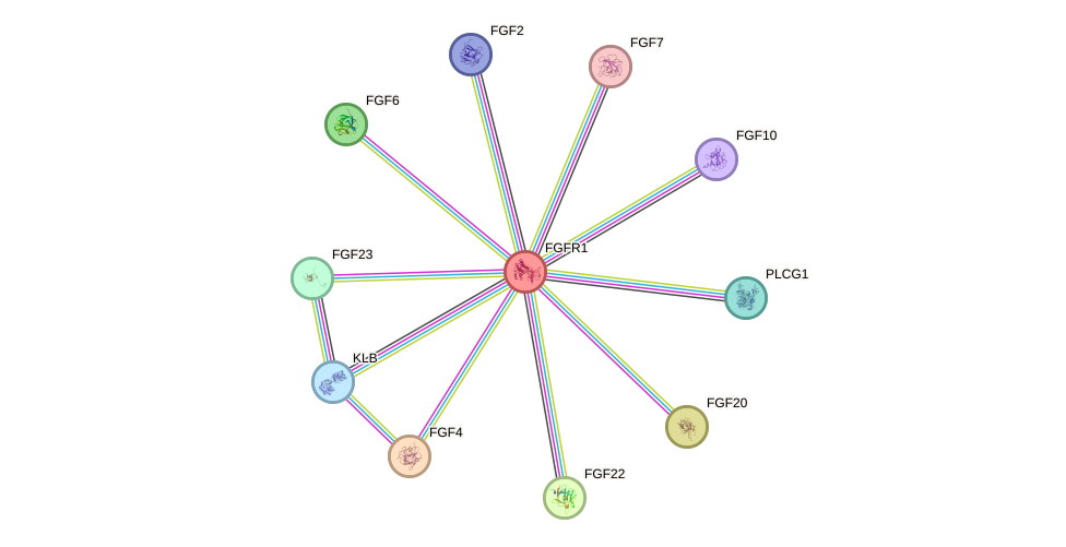 Protein-Protein network diagram for FGFR1