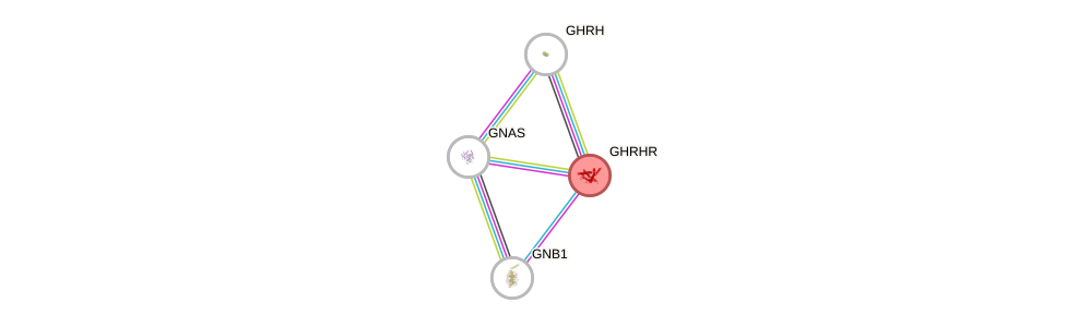 Protein-Protein network diagram for GHRHR