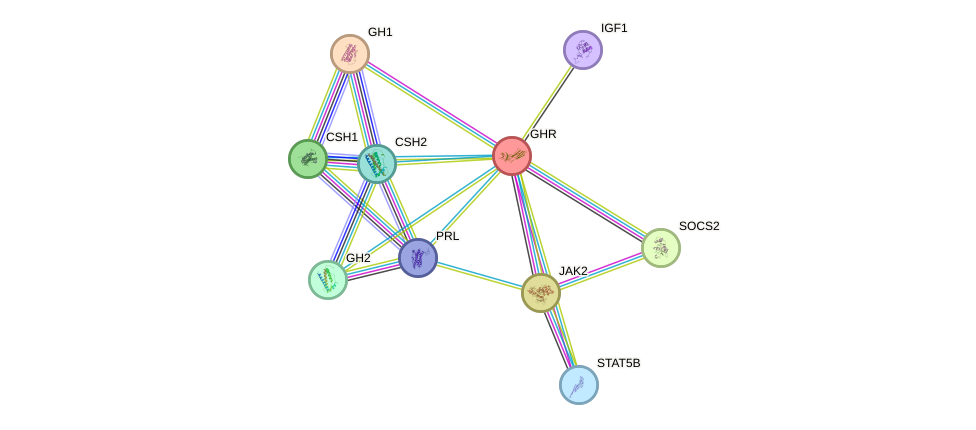 Protein-Protein network diagram for GHR