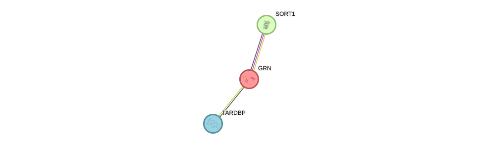 Protein-Protein network diagram for GRN
