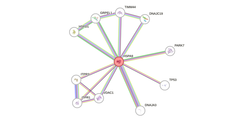 Protein-Protein network diagram for HSPA9