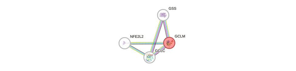 Protein-Protein network diagram for GCLM