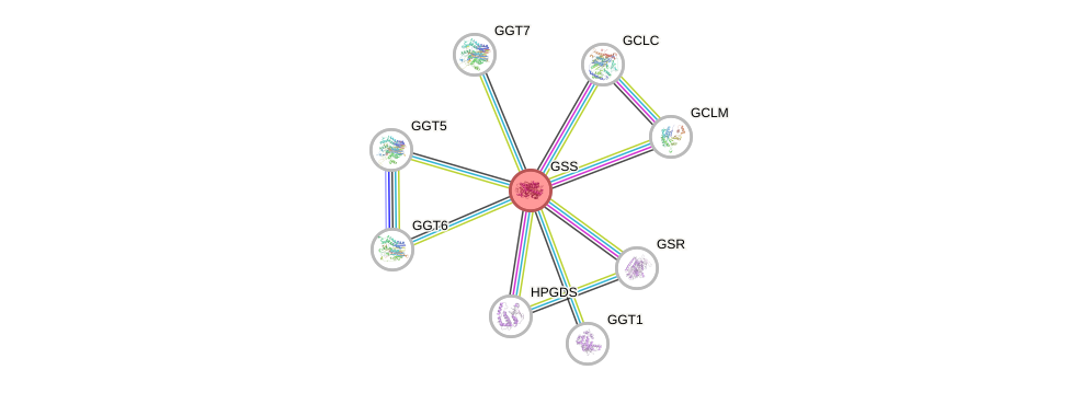 Protein-Protein network diagram for GSS