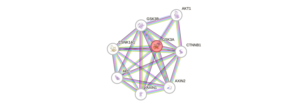 Protein-Protein network diagram for GSK3A