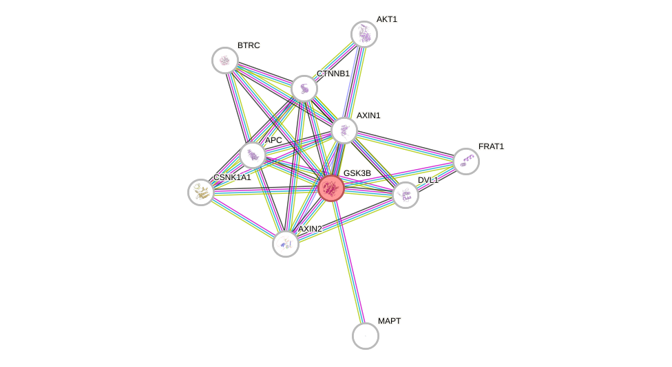 Protein-Protein network diagram for GSK3B