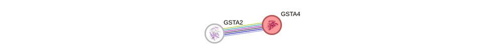Protein-Protein network diagram for GSTA4