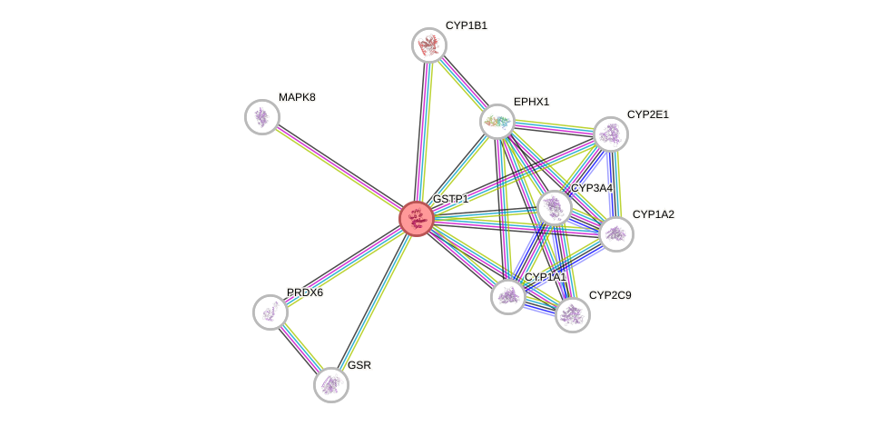 Protein-Protein network diagram for GSTP1