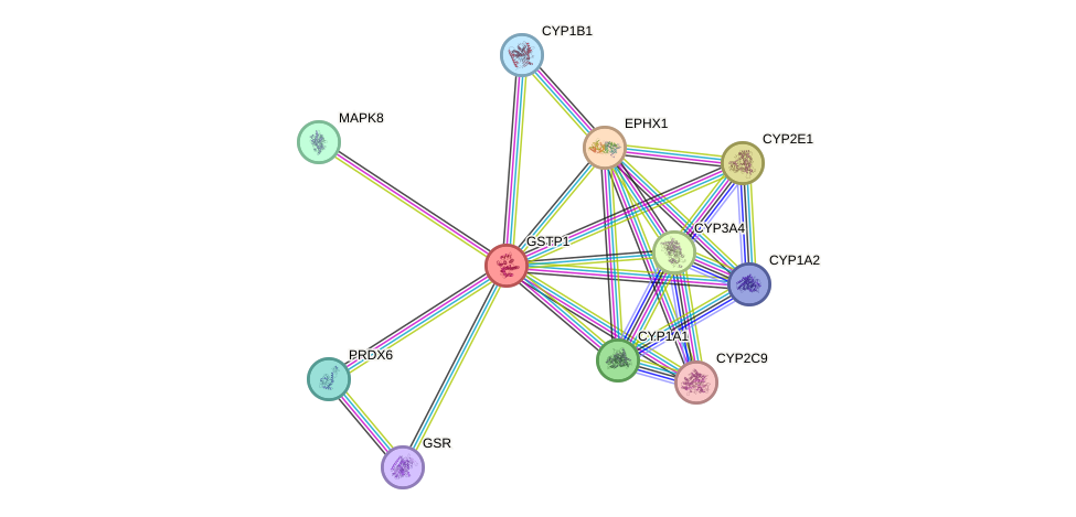 Protein-Protein network diagram for GSTP1