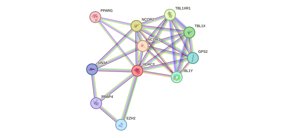 Protein-Protein network diagram for HDAC3