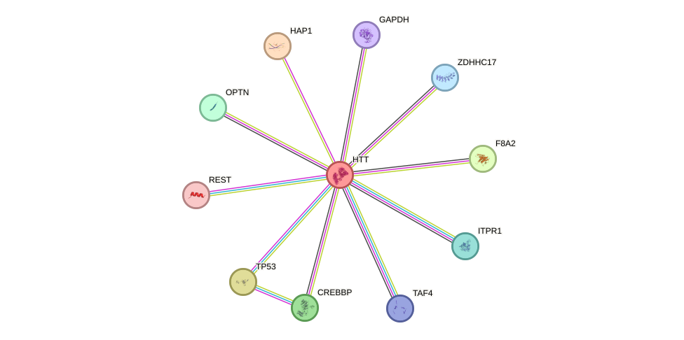 Protein-Protein network diagram for HTT