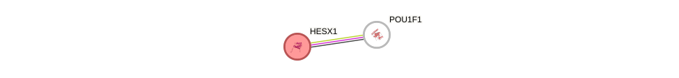 Protein-Protein network diagram for HESX1