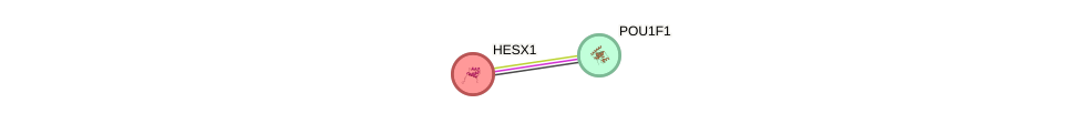 Protein-Protein network diagram for HESX1