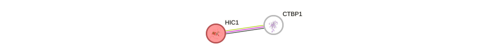 Protein-Protein network diagram for HIC1