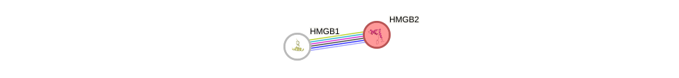Protein-Protein network diagram for HMGB2
